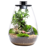 Bioloark Terrarium Bio Bottle SD Wabi-Kusa