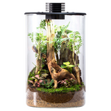 Bioloark Terrarium Bio Bottle ZD Wabi-Kusa