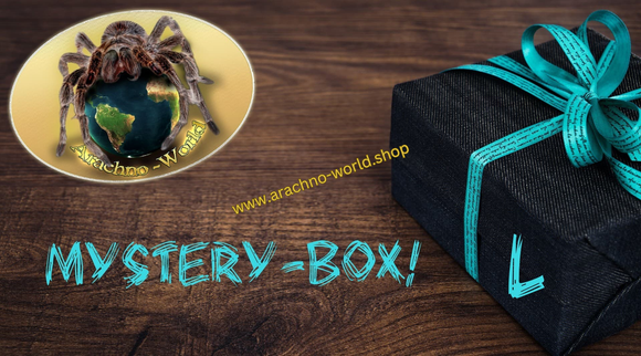 Mystery-Box L