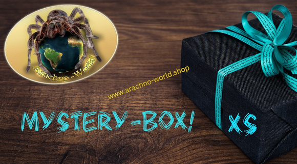 Mystery-Box XS