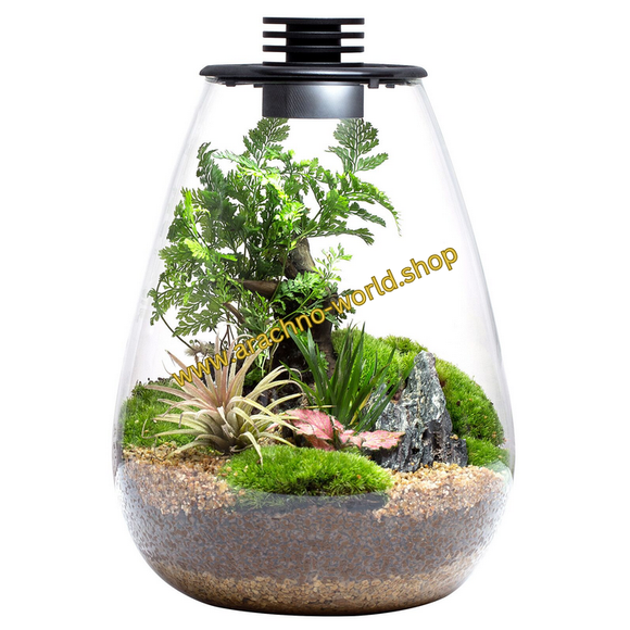 Bioloark Terrarium Bio Bottle SD Wabi-Kusa