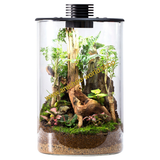 Bioloark Terrarium Bio Bottle ZD Wabi-Kusa