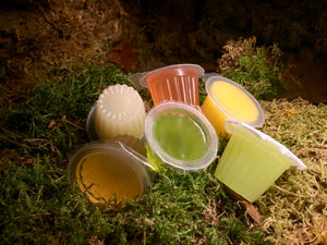 Beetle Jelly Food