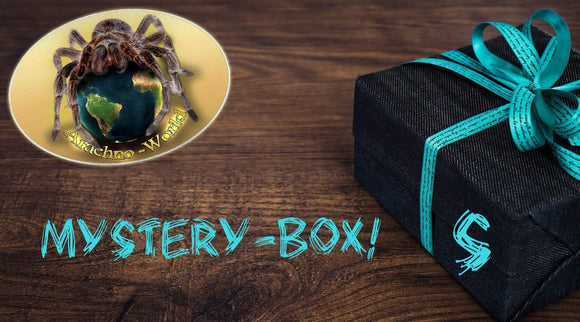 Mystery-Boxen S 
